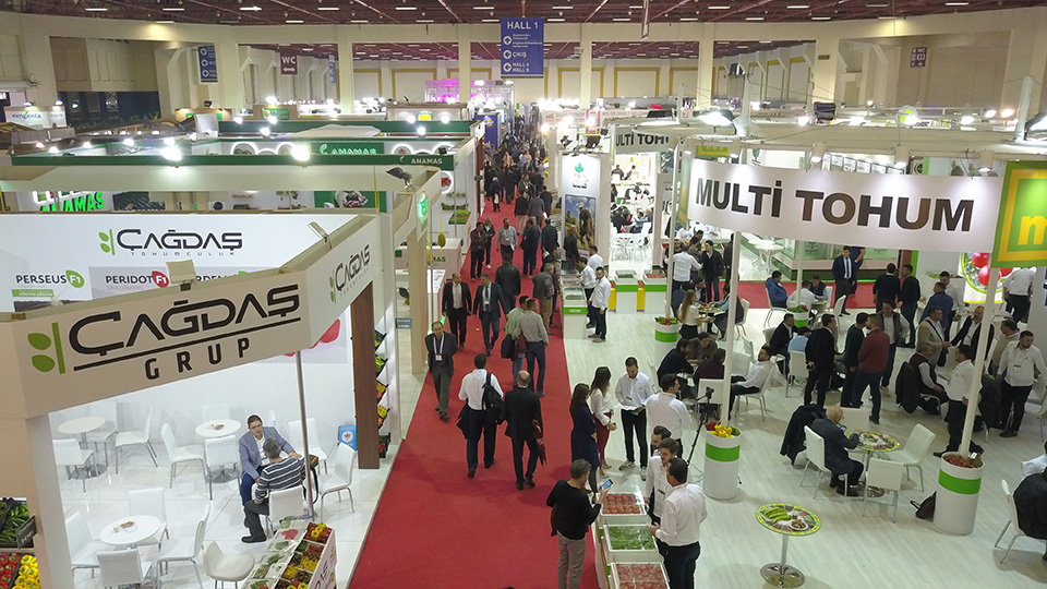 Growtech Standlar (3)